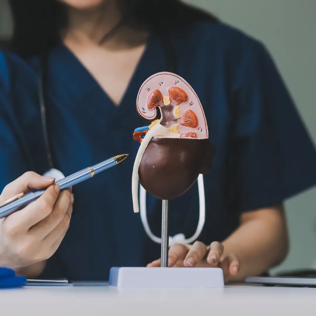Nephrology