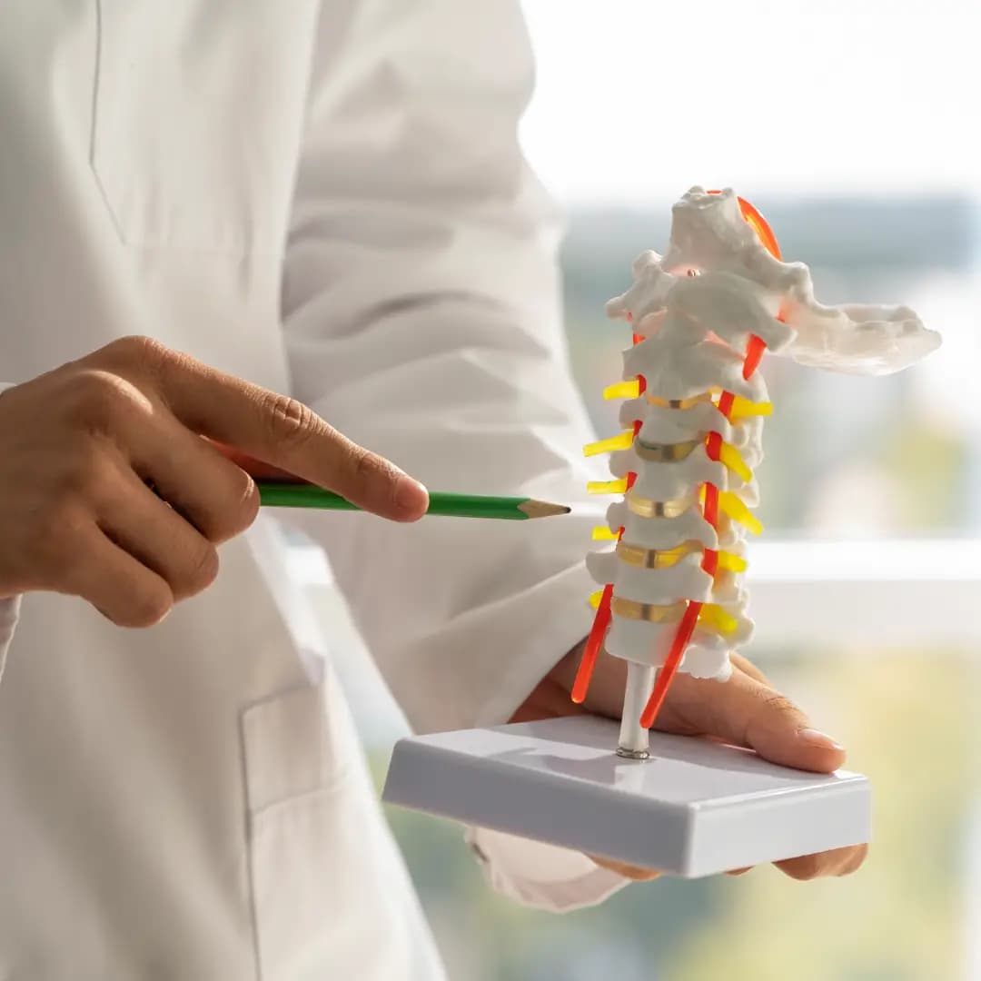 Spine Surgery
